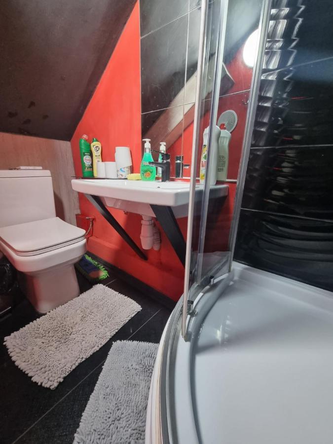 Stefan Cel Mare Studio Kiszyniów Zewnętrze zdjęcie